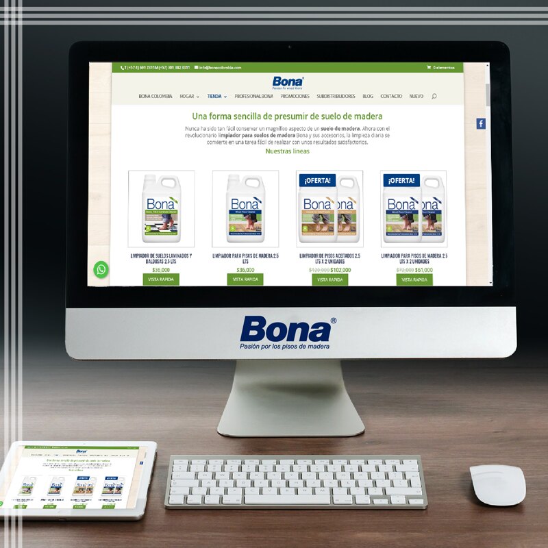 E-commerce: nueva alternativa de compra